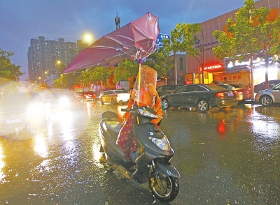 暴风雨昨日突袭河南 郑州刮7级风1小时降温11℃